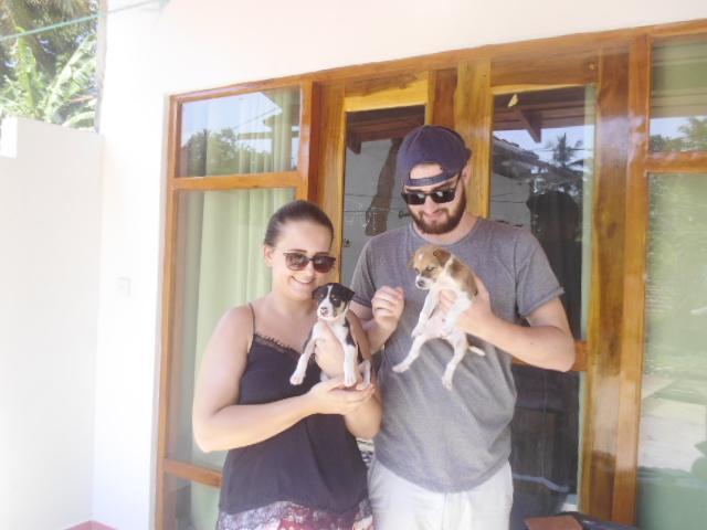 Hilltop Bungalow Hotel Mirissa Luaran gambar